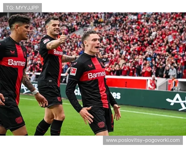 维尔茨：组织核心到终结参与者的角色进化与数据解析