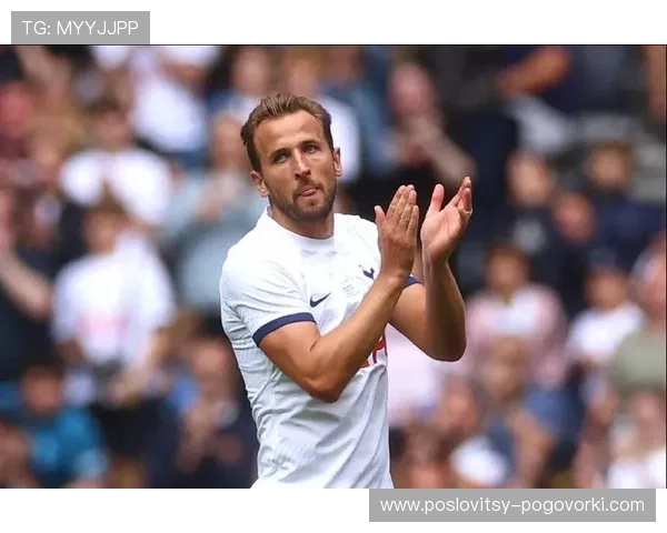 凯恩上限是否受限于终结效率与战术角色 凯恩上限是否受限于终结效率与战术角色