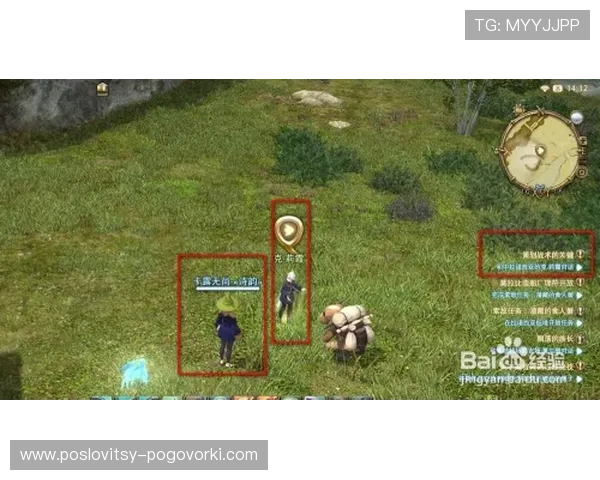 本泽马终结效率与战术角色解析