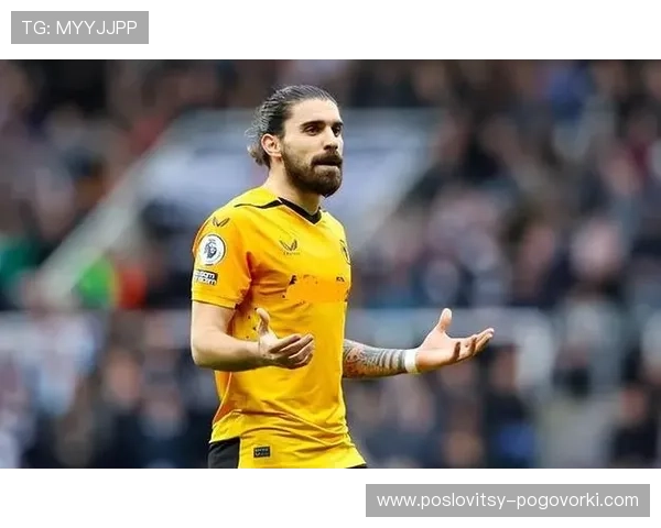 内维斯作为英冠冠军队长的成就解析